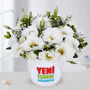  Bakı Çiçek Siparişi - Yeni İş Günü
